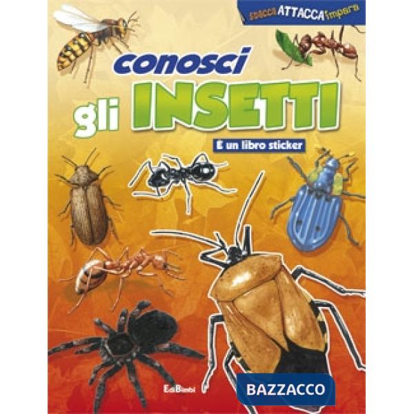 Conosci gli insetti. Ediz. illustrata