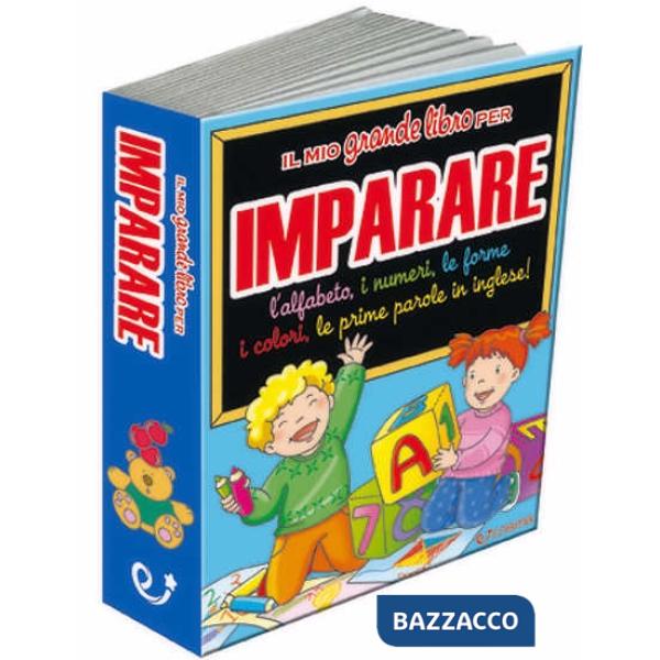 Mio grande libro per imparare. L'alfabeto, i numeri, le forme, i colori, le prime parole in inglese! (Il)
