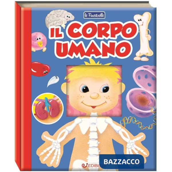 Corpo umano. Ediz. a colori (Il)