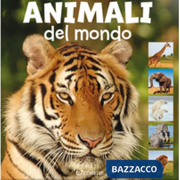 Animali del mondo. Animal photo. Ediz. a colori