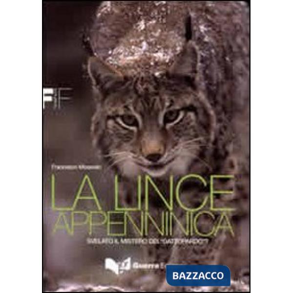 Lince appenninica. Svelato il mistero del «Gattopardo»? (La)