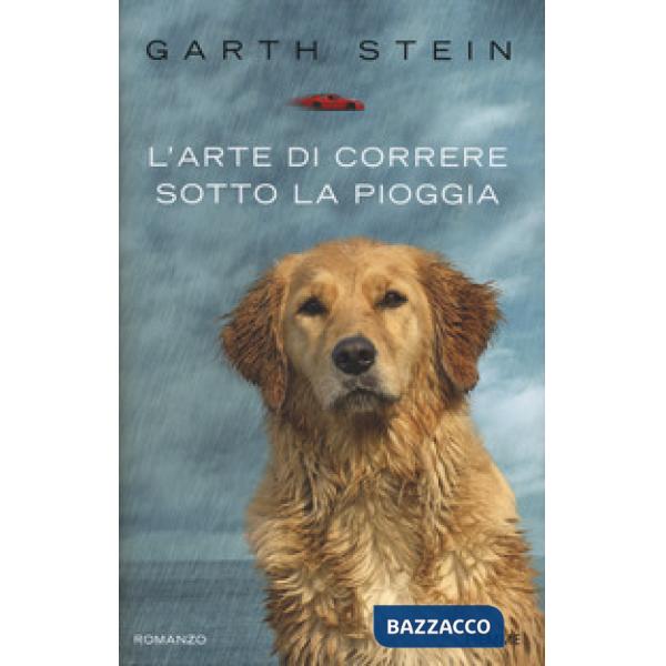 Arte di correre sotto la pioggia (L')