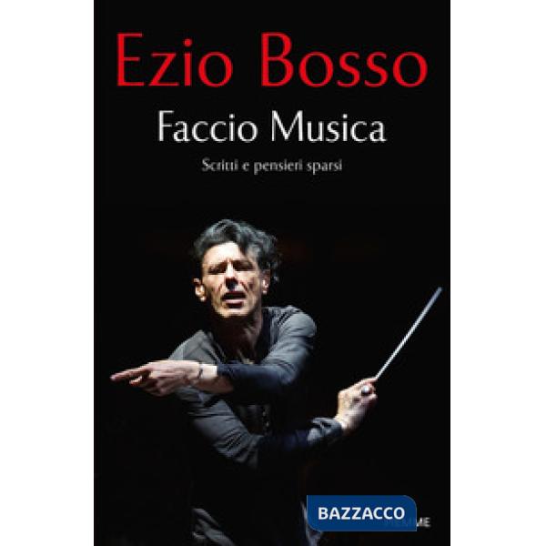 Faccio Musica. Scritti e pensieri sparsi