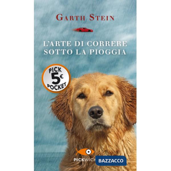 Arte di correre sotto la pioggia (L')