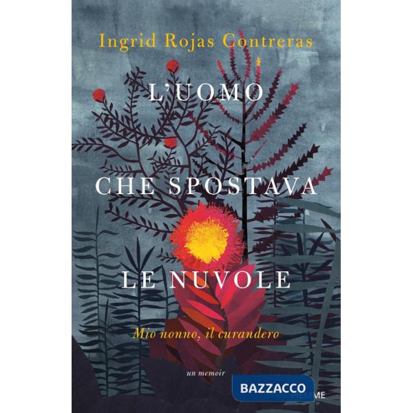 Uomo che spostava le nuvole. Mio nonno, il curandero (L')