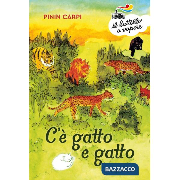 C'è gatto e gatto. Ediz. a colori