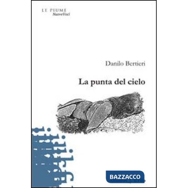 Punta del cielo (La)