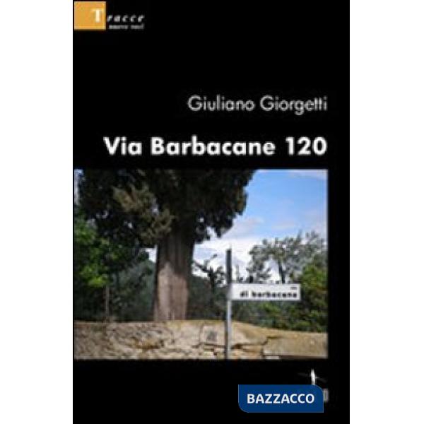 Via Barbacane 120