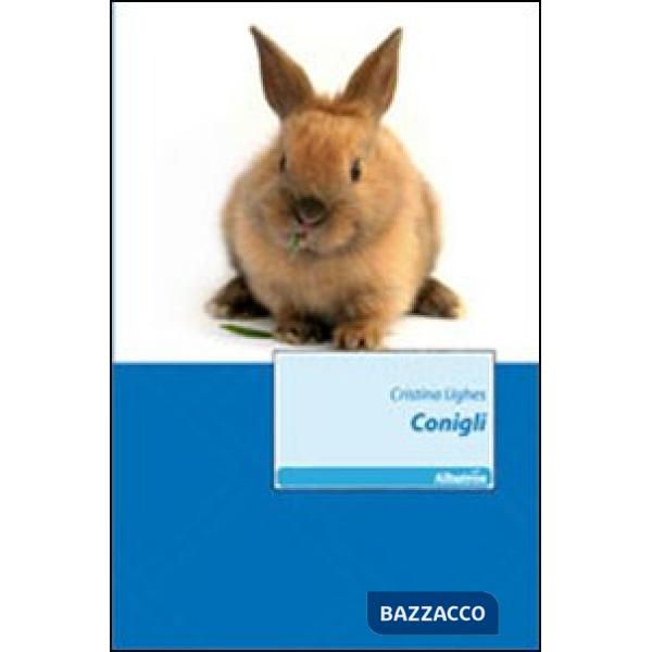 Conigli