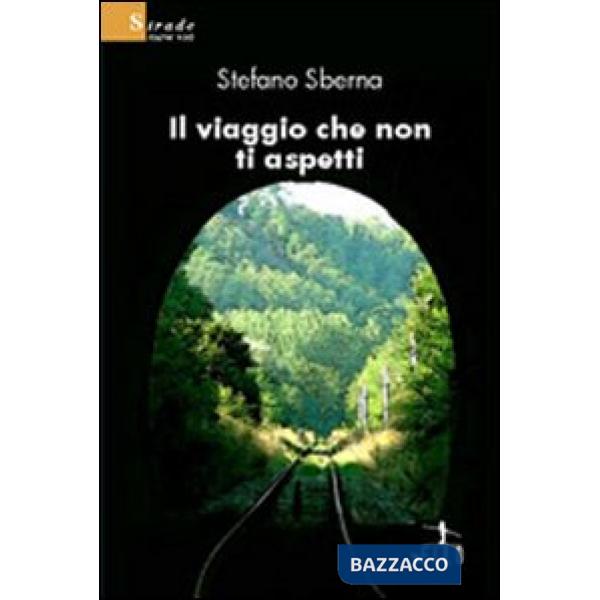Viaggio che non ti aspetti (Il)