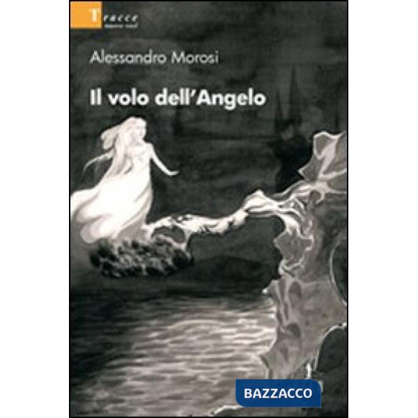 Volo dell'angelo (Il)