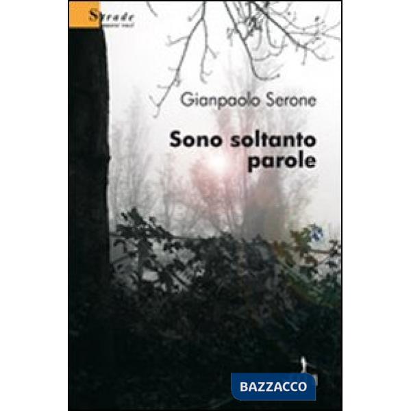 Sono soltanto parole