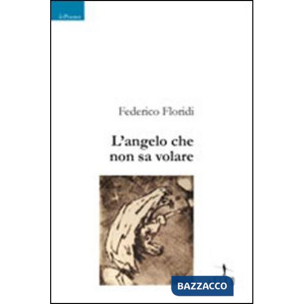 Angelo che non sa volare (L')