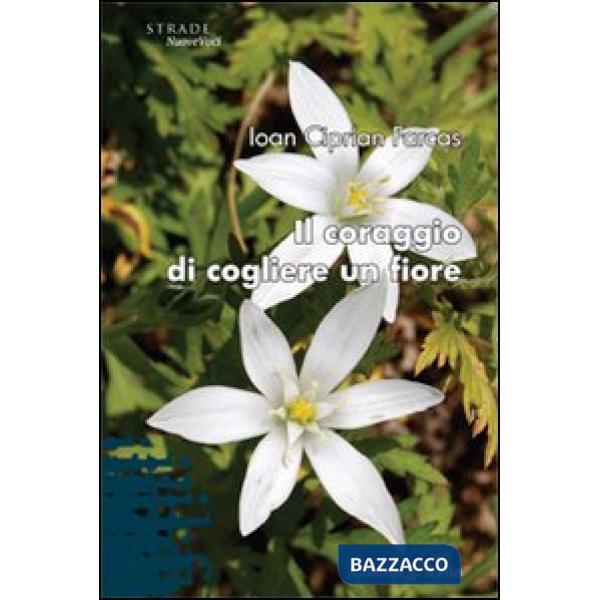 Coraggio di cogliere un fiore (Il)