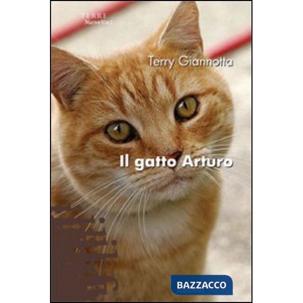 Gatto Arturo (Il)