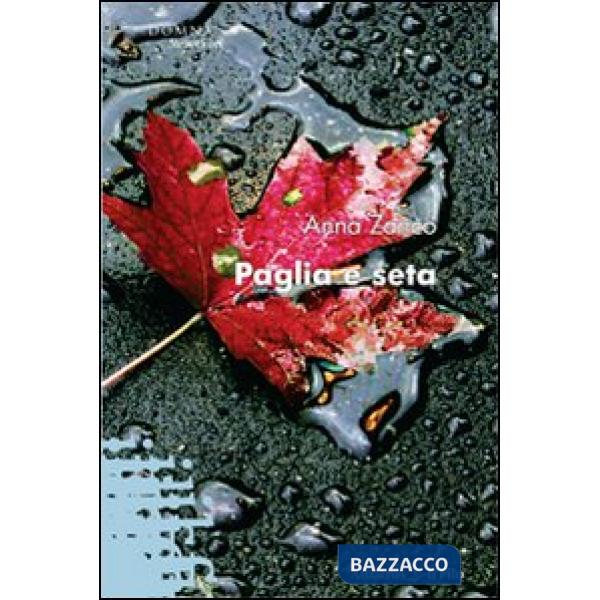 Paglia e seta