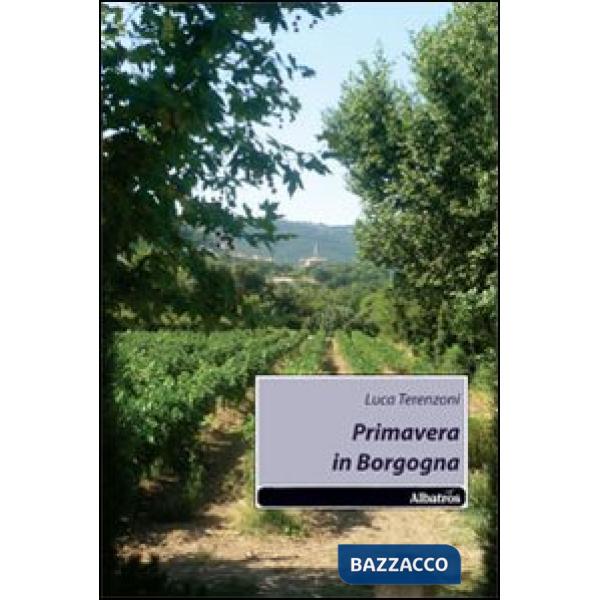 Primavera in Borgogna