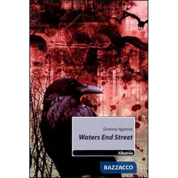 Waters end street. Ediz. italiana