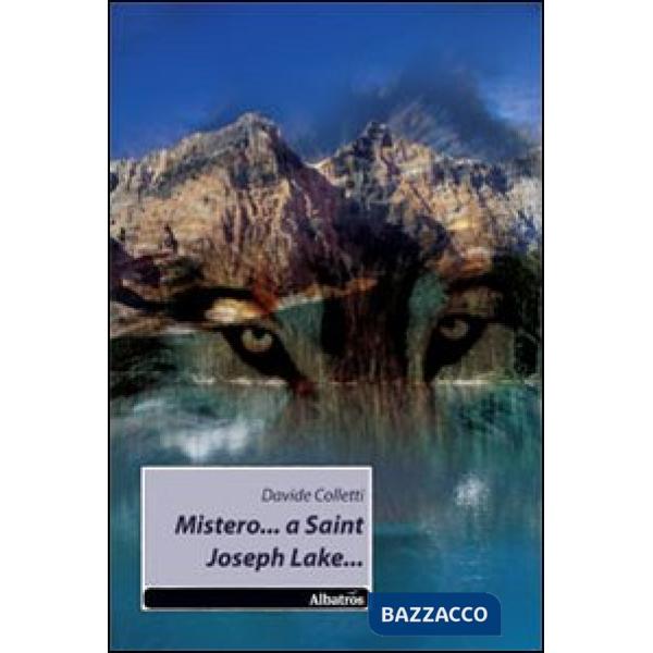Mistero... a Saint Joseph Lake...