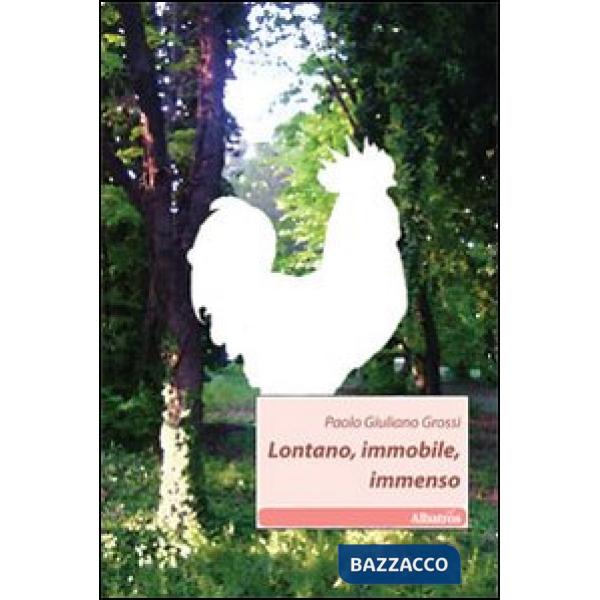 Lontano, immobile, immenso