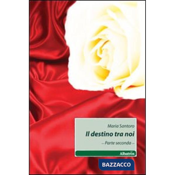 Destino tra noi (Il). Vol. 2