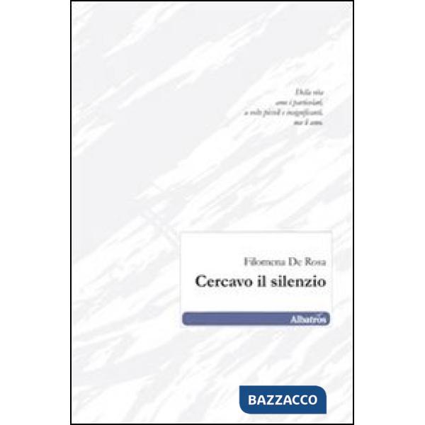 Cercavo il silenzio