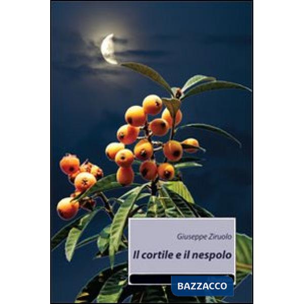 Cortile e il nespolo (Il)