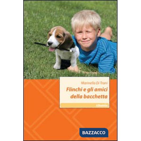 Flinchi e gli amici della bacchetta