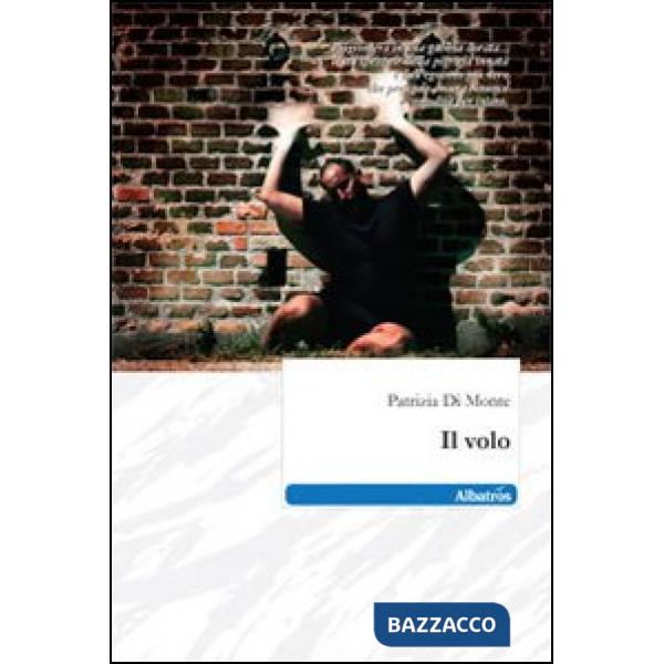 Volo (Il)