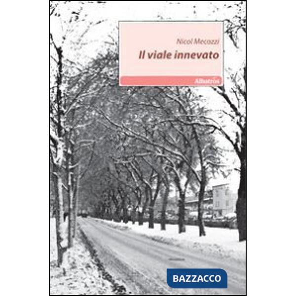 Viale innevato (Il)