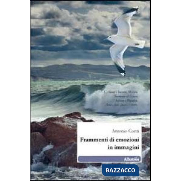 Frammenti di emozioni in immagini