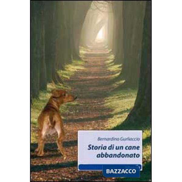 Storia di un cane abbandonato