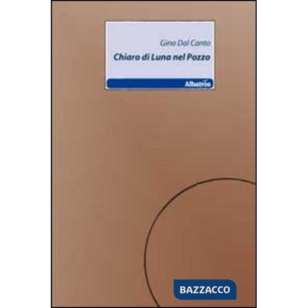 Chiaro di luna nel pozzo