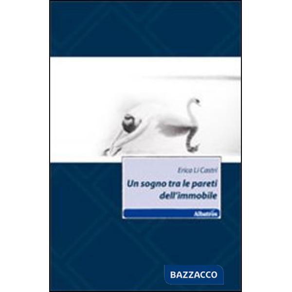 Sogno tra le pareti dell'immobile (Un)