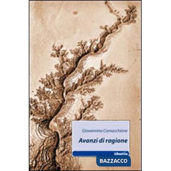 Avanzi di ragione