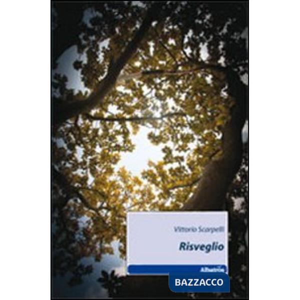 Risveglio