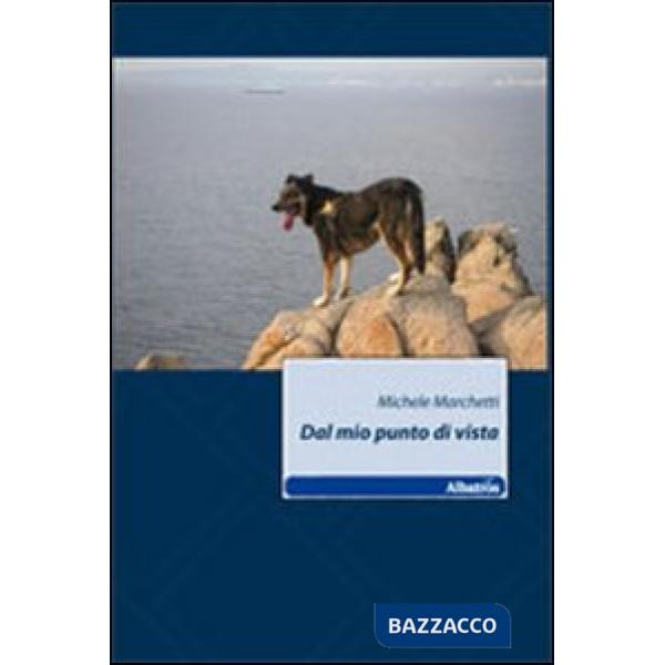 Dal mio punto di vista