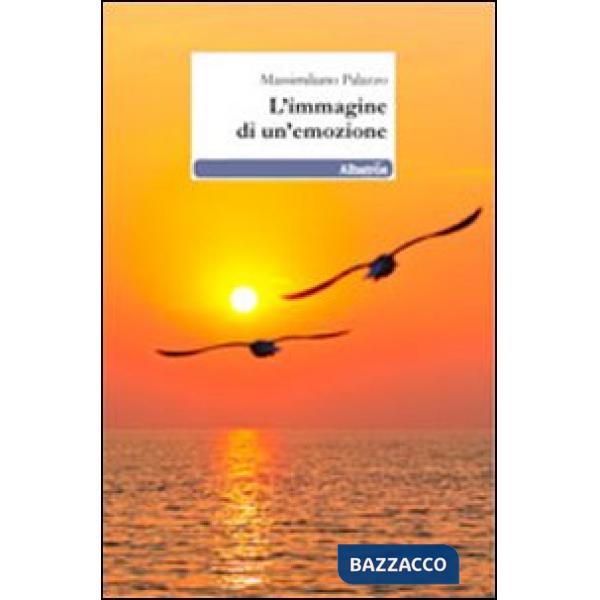 Immagine di un'emozione (L')