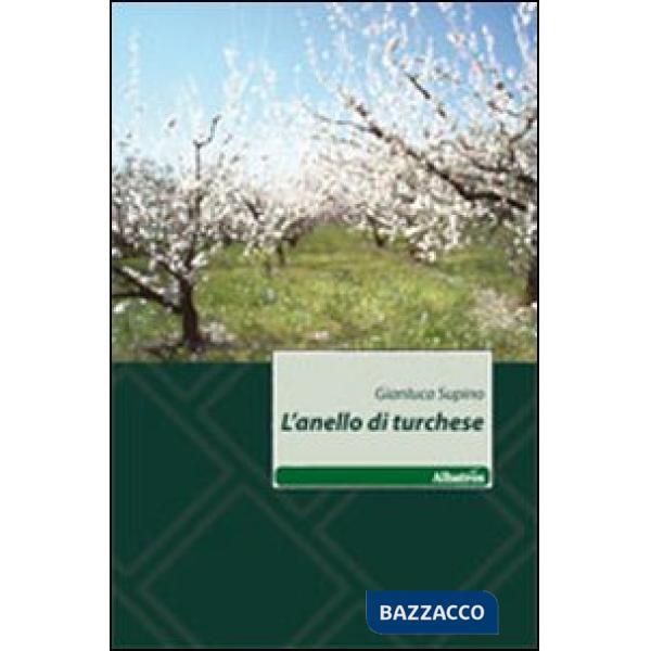 Anello di turchese (L')
