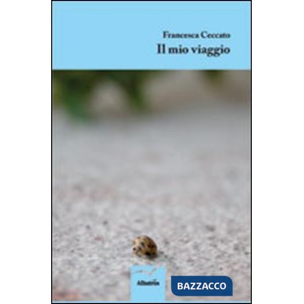Mio viaggio (Il)