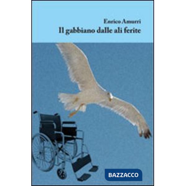 Gabbiano dalle ali ferite (Il)