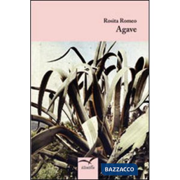 Agave