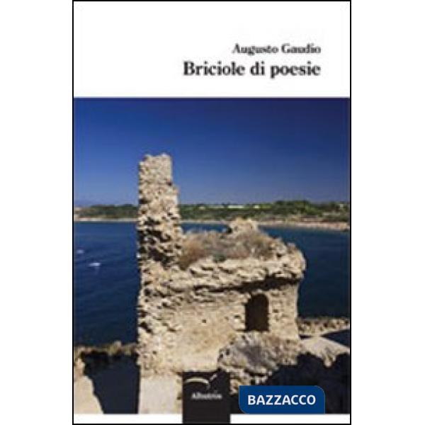 Briciole di poesie