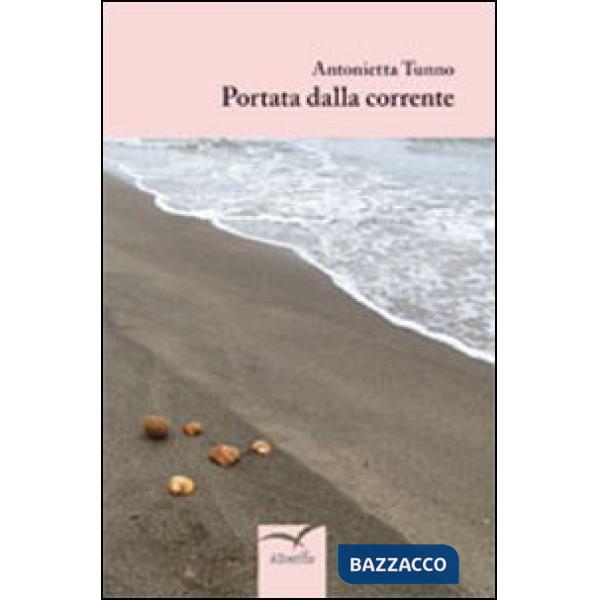Portata dalla corrente
