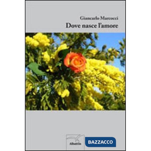 Dove nasce l'amore