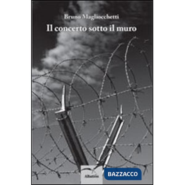 Concerto sotto il muro (Il)