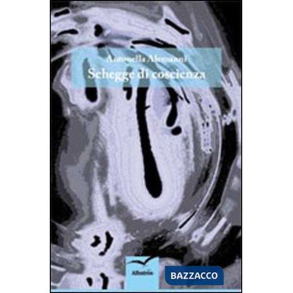 Schegge di coscienza