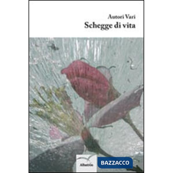 Schegge di vita