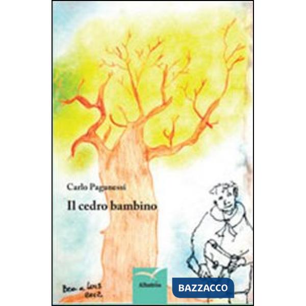 Cedro bambino (Il)