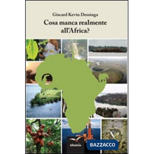 Cosa manca realmente all'Africa?